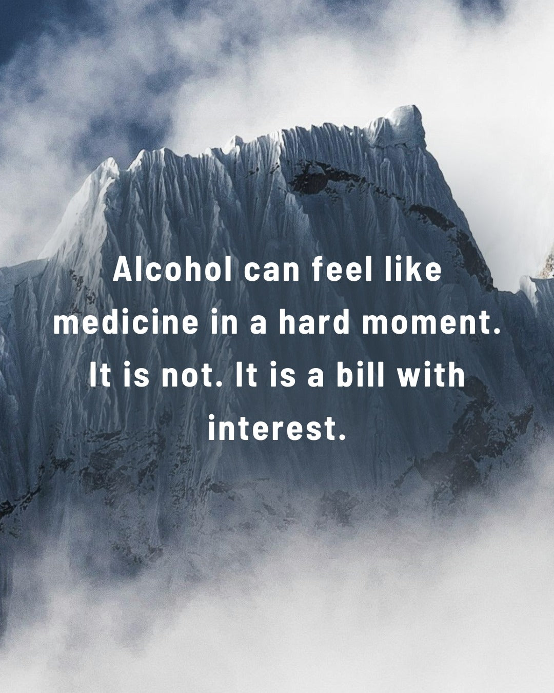 JJ's Most Loved and Suggested Products